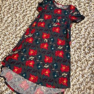 Lularoe Carly Swing Dress Floral Pattern XXS